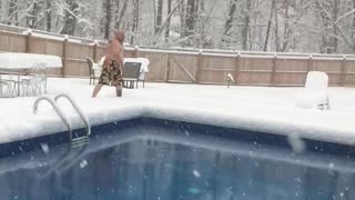 The Polar Plunge