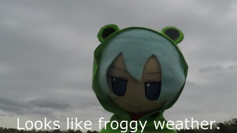 Froggy weather fumo