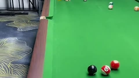 Funny video 🤣🤣🤣 billiards 🎱