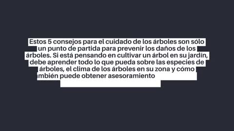 5 consejos sobre el cuidado de los árboles para proteger su propiedad