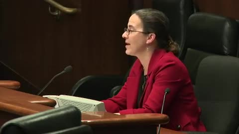 Dr Deischer Gives Testimony on the Vaccine - Autism Connection