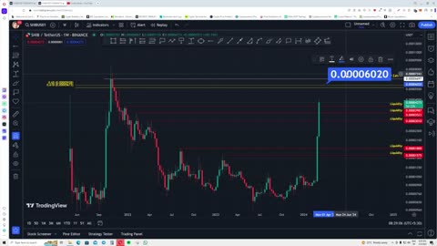 Shiba Inu (SHIB) Rallies 150%, Will It Hit $0.000077 Next?