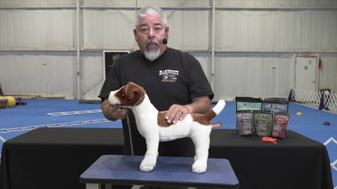 Hand Stacking show Dogs with Eric salas