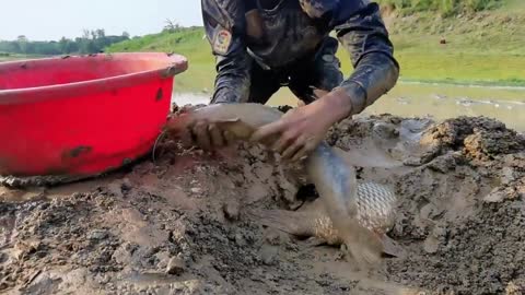 Wow Really Smart Hand Fishing In River Dry Place Underground Fish Catching