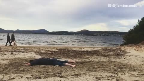 Guy face plants on sand dog runs over