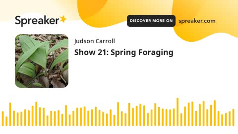 Show 21: Spring Foraging (part 3 of 3)