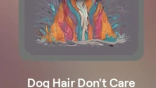 Dog Hair Don't Care - SONG