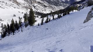 Snowbird Bookends