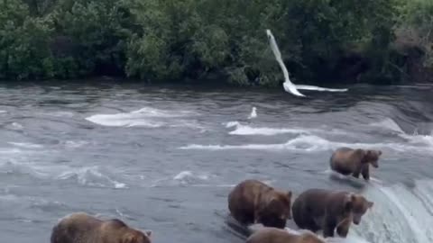 Russians awaiting the arrival of F-16s. 🇷🇺 🐻