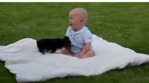 Baby playing with a puppy
