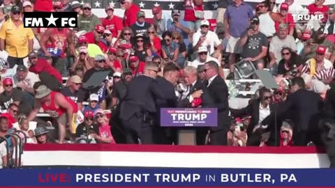 Trump's surprising reaction after he was shot in the ear on stage
