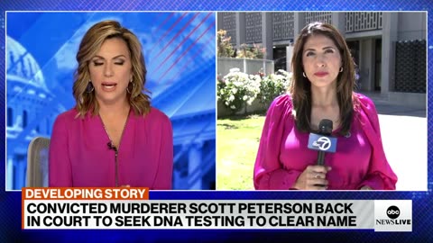 Convicted murderer Scott Peterson faces judge for new trial consideration ABC News