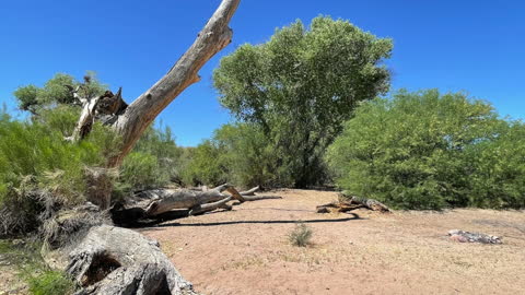 Box Bar Rio Verde, AZ