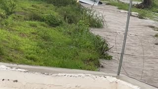 Box Truck Drivers Through Flooded Road