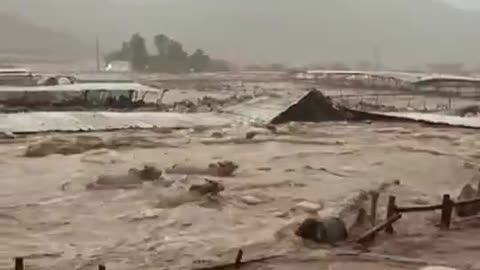 Flood washes away a herd of camels in Saudi Arabia