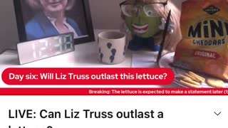 Liz Truss Vs "A Head Of Lettuce" DAY 6