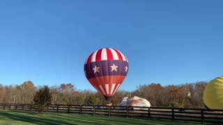 Hot Air Balloons & Red, White and Blue