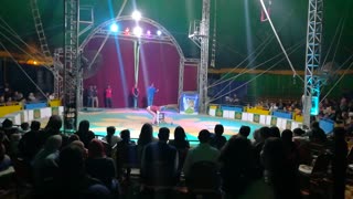 Clown Entertain Circus Crowds