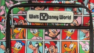 Walt Disney World Mickey Mouse and Friends Large Backpack #shorts