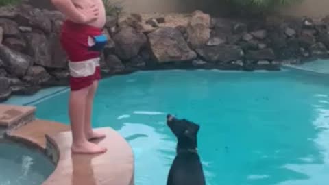 Boy and his dog take a swim