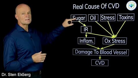 Top 10 Foods That DESTROY Your HEART