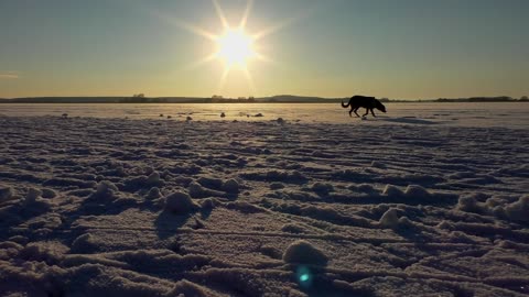 Ari at Lake Rangsdorf, Winter 2016