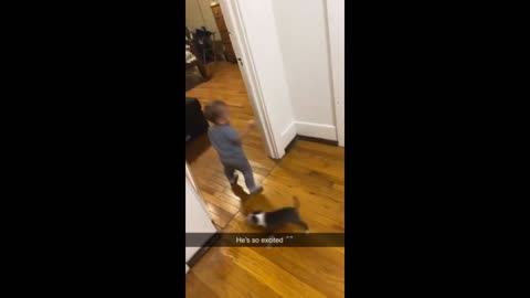 Baby has adorable reaction to new puppy addition #Shorts