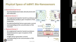 Walton Institute International Guest Webinar: Bige Unluturk - Internet Of Bio-Nano-Things For Early Disease Detection - Track & Trace PANACEA 2020