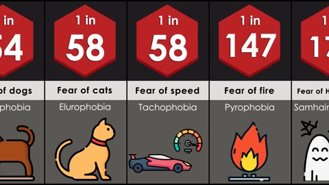 Probability Comparision Phobia of things