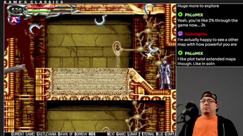 Castlevania Dawn of Sorrow - not sure who the villain is, so we're whooping everyone