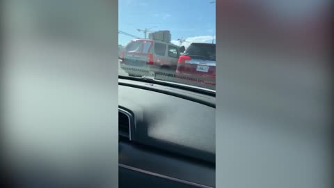 Woman swings puppy on leash as a weapon during road rage incident