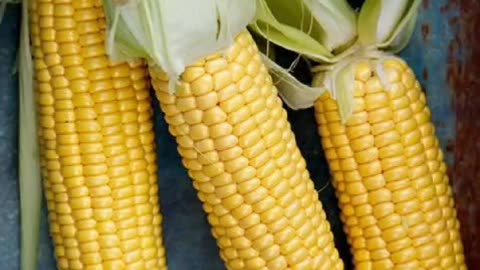 Magic Benefits Of Corn...