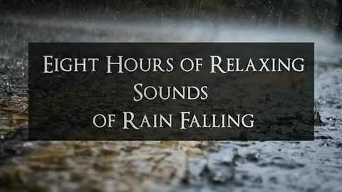 Eight Hours of Relaxing Sounds of Rain Falling