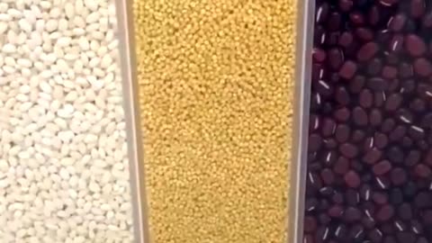 Wall-Mounted Rice Storage Tank | Kitchen Storage Box for Cereals Grain Automatic Dispenser #SHORTS