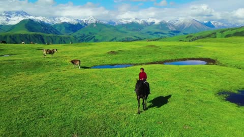 Tranquil Waters and Majestic Mountains: A Visual Treat