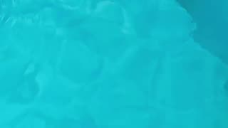 Limpeza de piscina