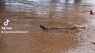 Correnteza no rio taquari