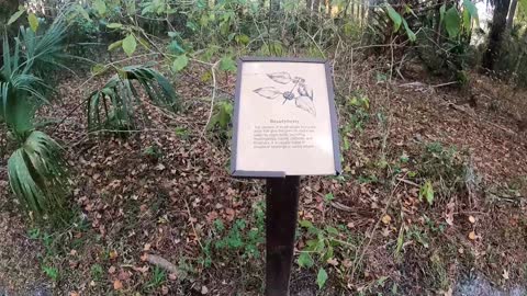 Blue Run of Dunnellon Florida Park -- Pond Trail Hike