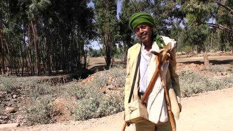 Man playing a tradtional music instrument - masinko.