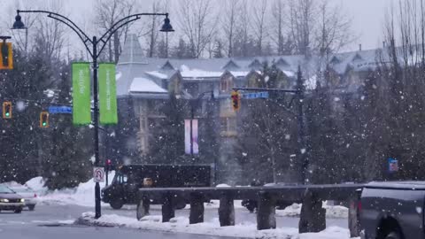 Traffic lights change color as cars drive past.