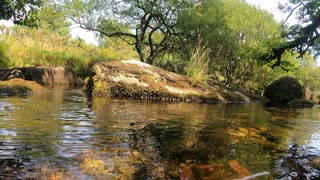 GoPro tour of a river in Dartmoor