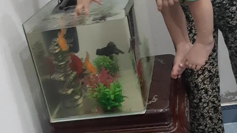 kid joking with the gold fish