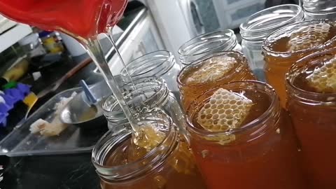 Bee, honey bees, soothing bee packages,