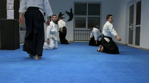 Aikido training