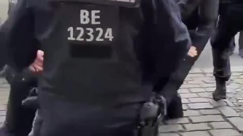 gestapo knees protester in the face for his safety