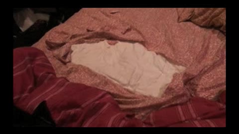 Guilty German Shepherd Hides In Shower After Tearing Up Bed
