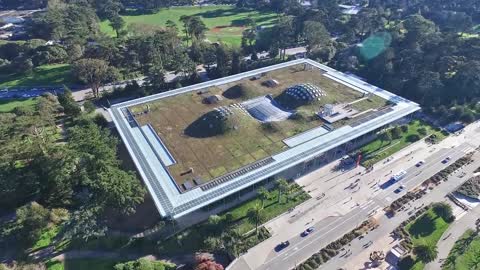 Golden Gate Park with DJI Phantom