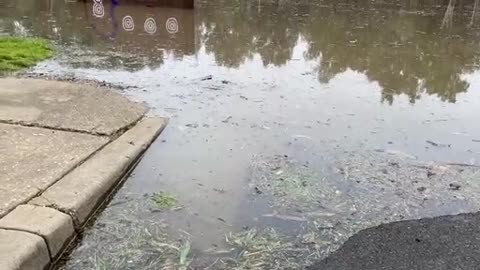 Flooding at Wagga Beach _ Monday, August 8 _ The Daily Advertiser