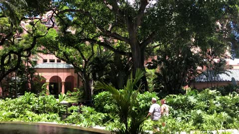 Tropical breeze and sunshine, patio and pool at Sheraton Waikiki