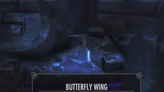 Poor Butterfly